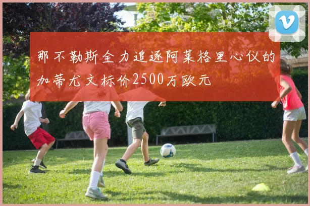 那不勒斯全力追逐阿莱格里心仪的加蒂尤文标价2500万欧元